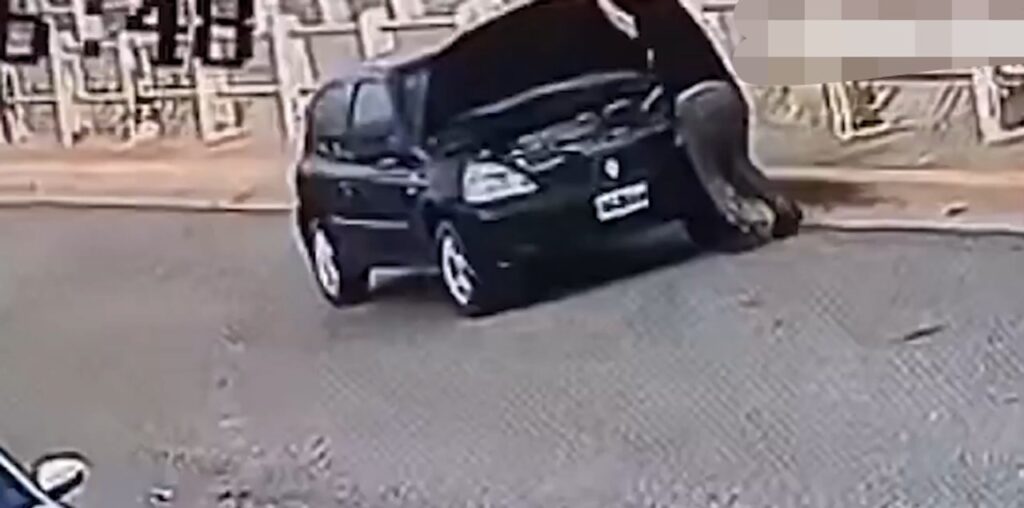 Insólito accidente: fue atropellada por su propio automóvil cuando revisaba la batería del vehículo
