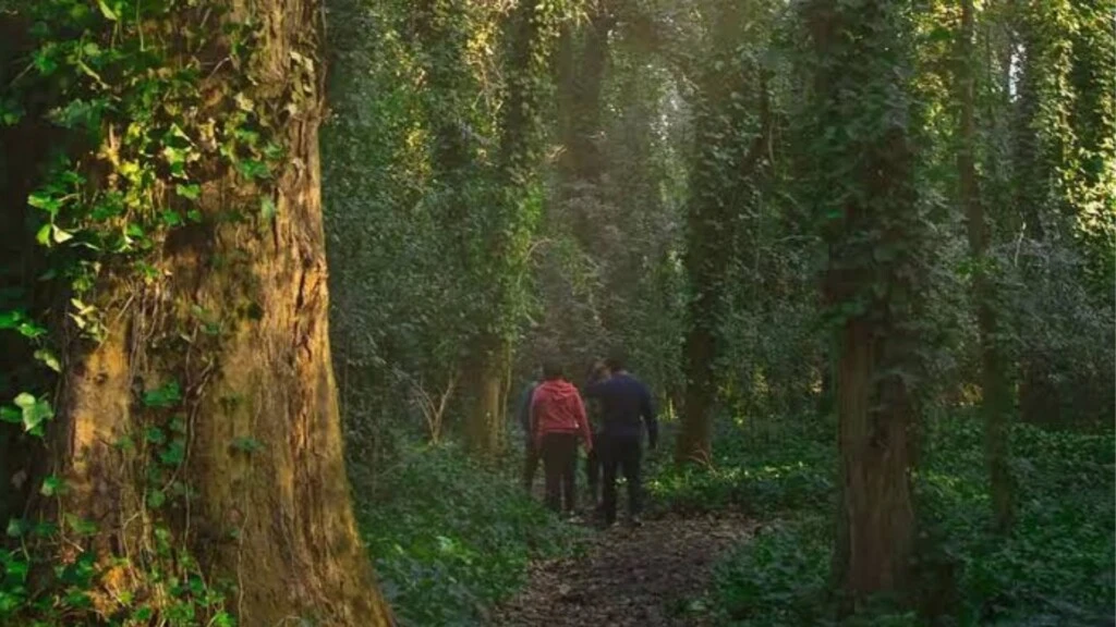 Tiene un bosque encantado, está a 2 horas de CABA y es ideal para una escapada de invierno