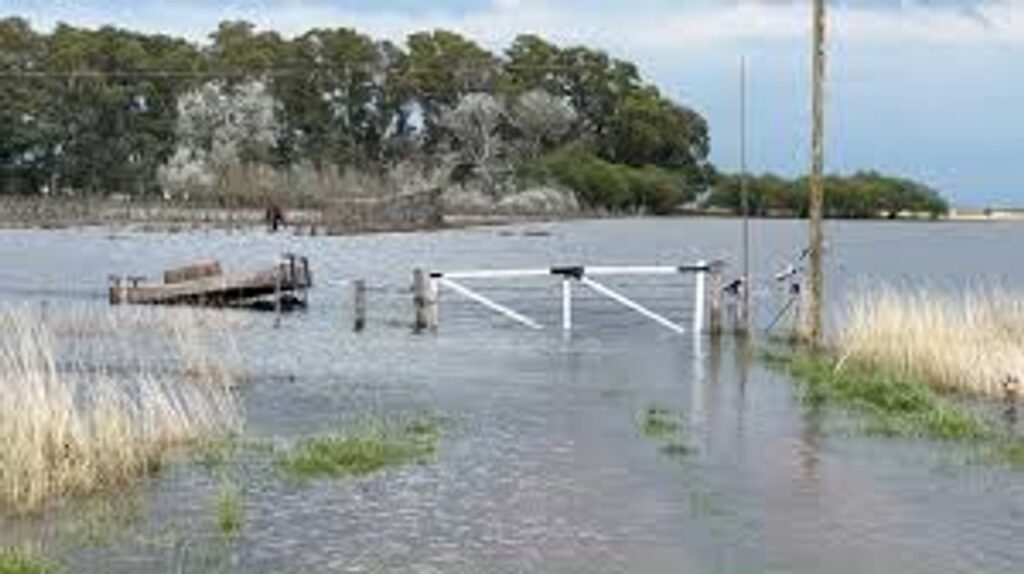 Inundaciones en PBA: casi 6 millones de hectáreas se vieron afectadas y se perderían US$2.000 millones