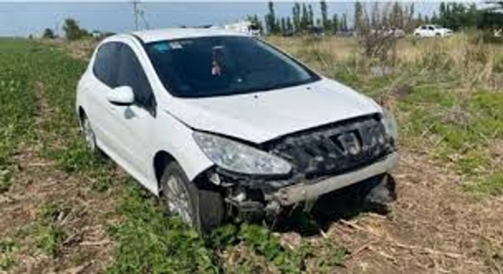 Un carpincho casi provoca una tragedia en Vivoratá