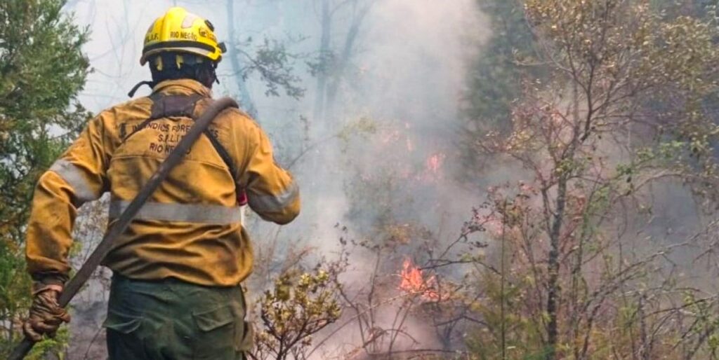 Presentaron una denuncia por los incendios registrados en el cerro Otto