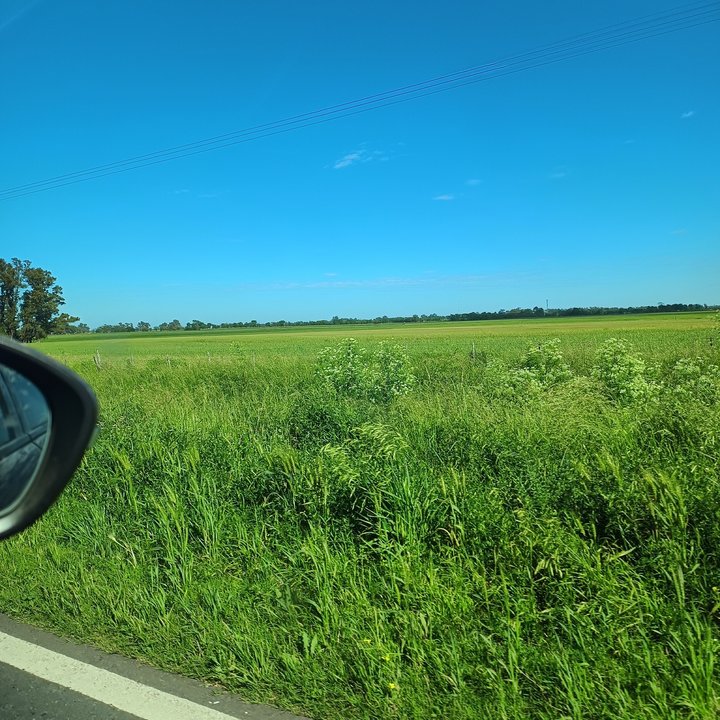 “Van a provocar un desastre”: pedido urgente de un usuario a Caputo tras anunciar obras en rutas nacionales