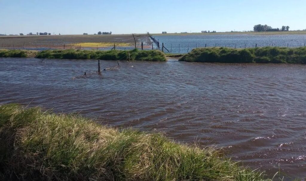 Productores de Bragado, al límite: "Estamos con el agua al cuello por la inacción municipal”