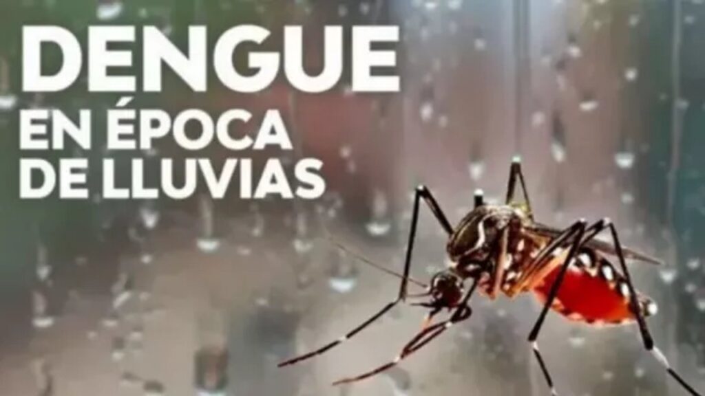 Pautas para prevenir el dengue durante el período de lluvias