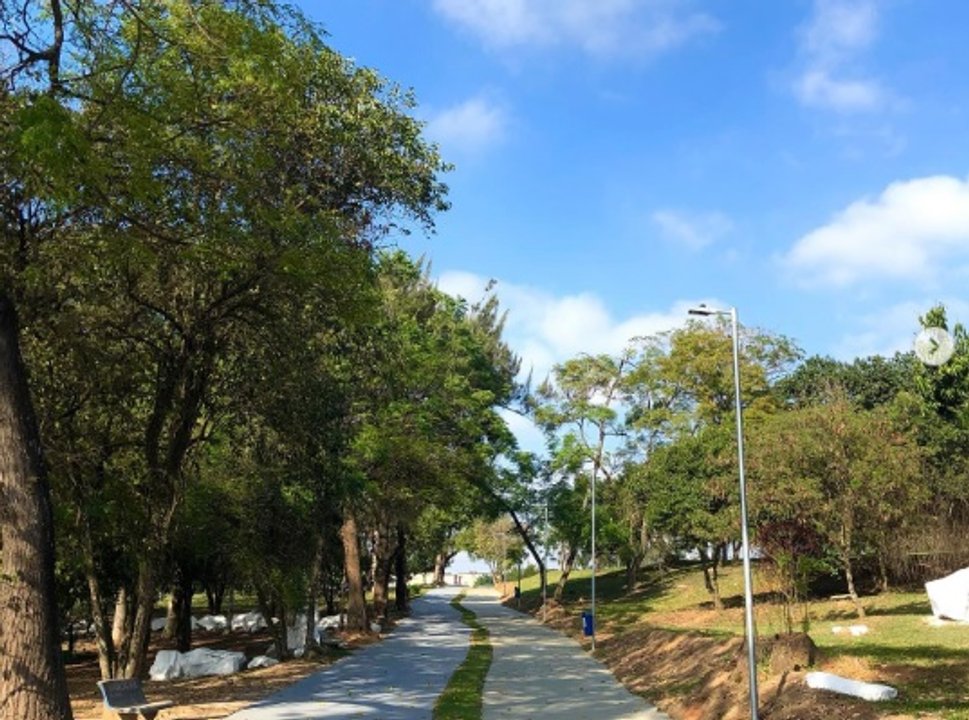 El misterio del “Maníaco del Arco Iris”: mató a 13 homosexuales en Brasil y nunca lo pudieron atrapar