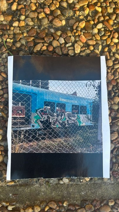 Desarticularon a una banda acusada de vandalizar trenes con grafitis