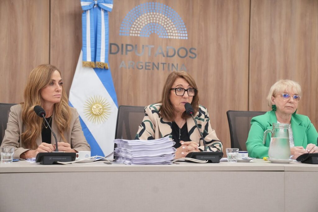 Fentanilo contaminado: la Comisión Investigadora presentó el informe final con 20 recomendaciones sanitarias