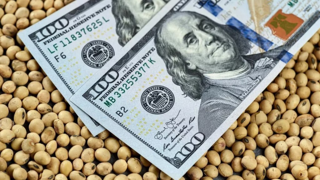 Dólar agro hoy: noviembre cierra con US$ 760 millones y sube el ingreso anual 2025