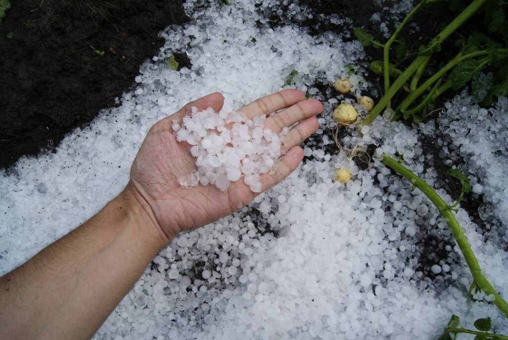 Alerta por tormentas fuertes y granizo en cinco provincias: qué dice el informe