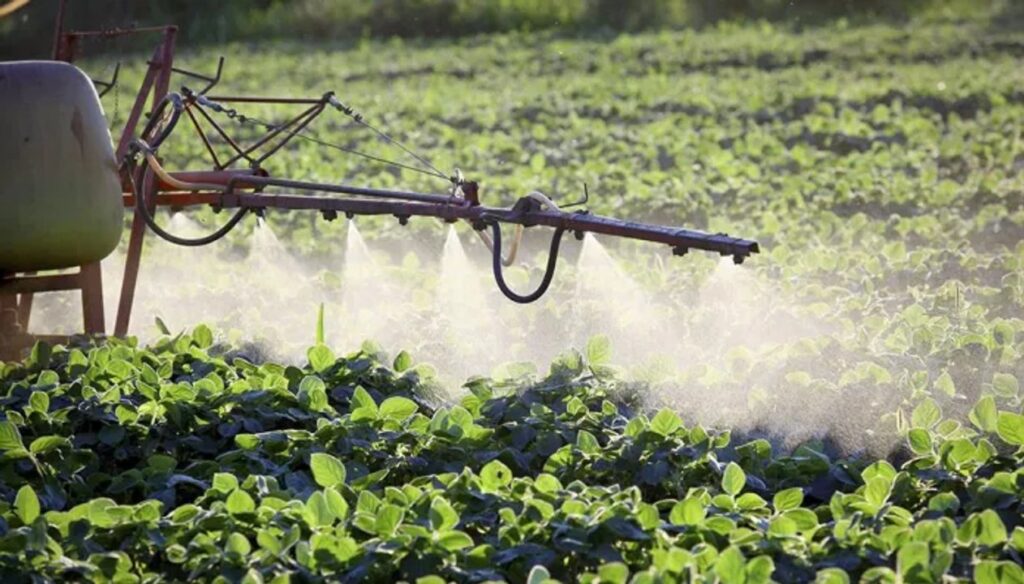 La decisión del gobierno de Francia que afecta a Sudamérica