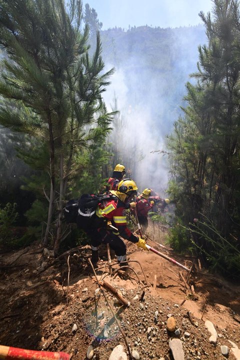 Los incendios en Chubut no cesan y la Ruta Provincial N°71 está cortada