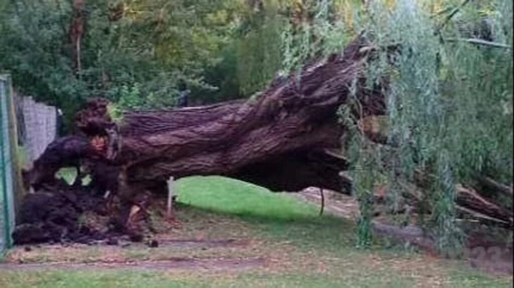 Videos del fuerte temporal que azotó a Mar del Plata, con lluvias y granizo