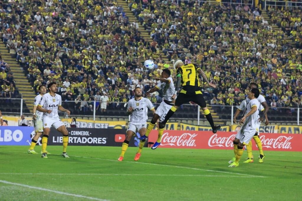 Ni Magis TV ni Pelota Libre: cómo ver Deportivo Táchira vs Deportes Tolima EN VIVO por Internet