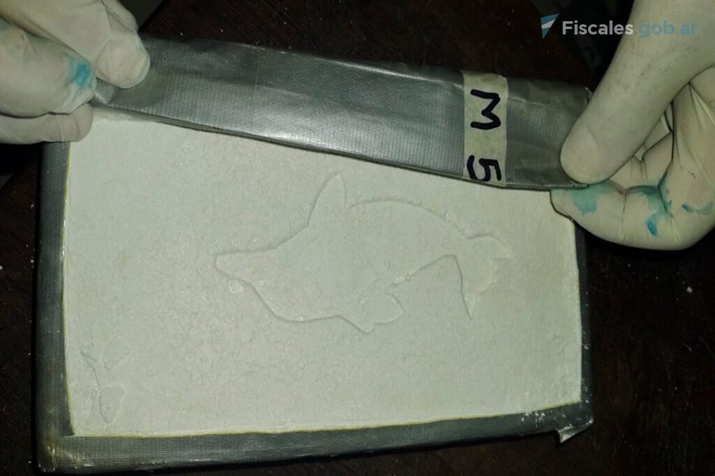 Droga arrojada desde una avioneta en Pergamino: 14 imputados irán a juicio oral