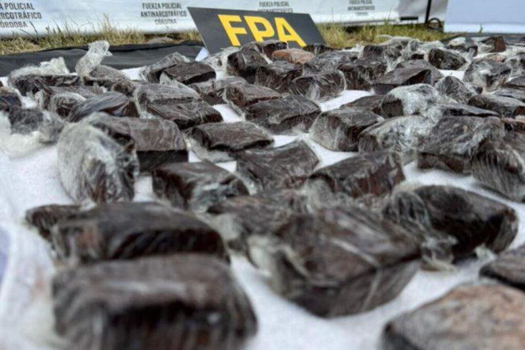 Incautaron más de seis kilos de brownies de marihuana cerca del Cosquín Rock: hay dos detenidos
