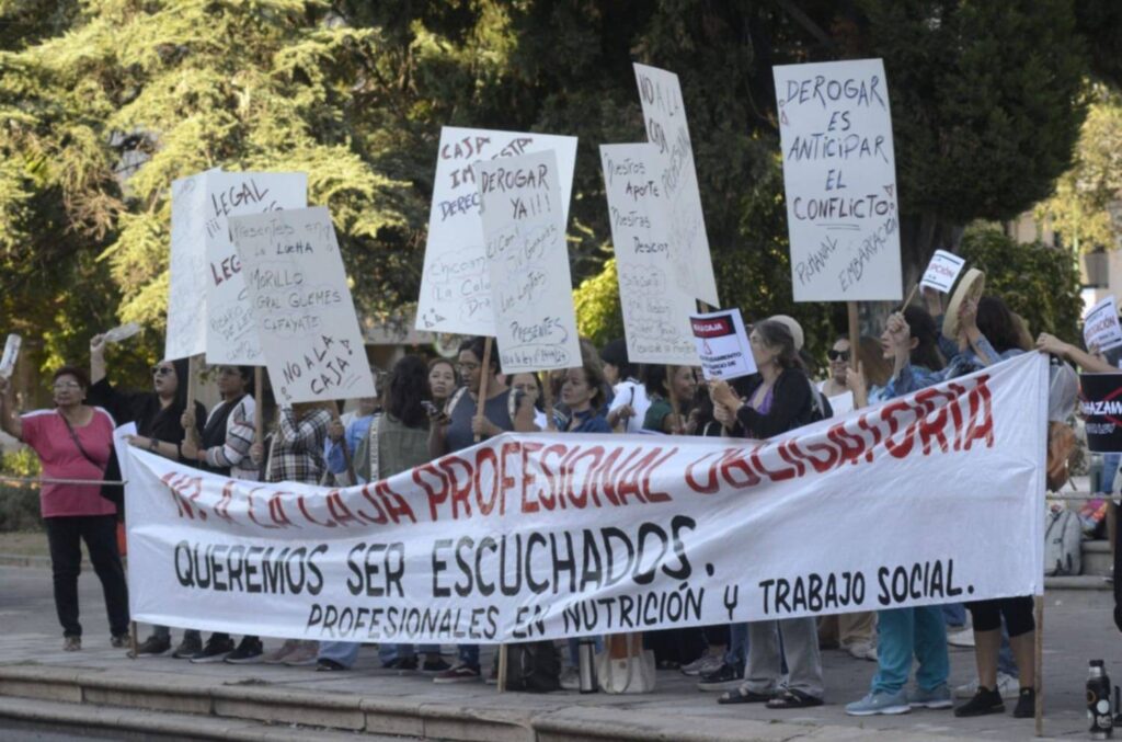 Odontólogos, trabajadores sociales y nutricionistas se manifestaron frente a la Legislatura