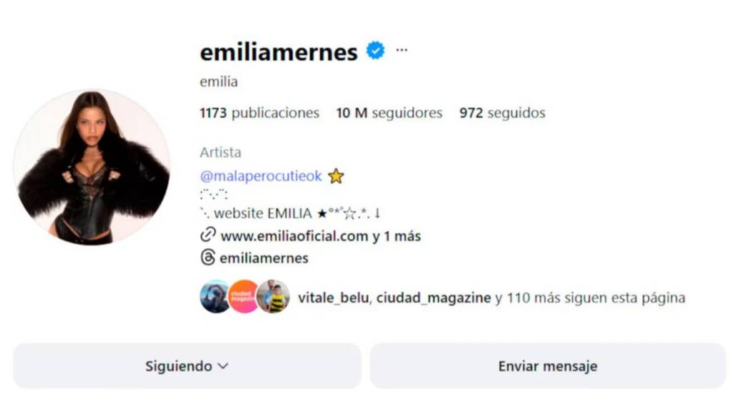 Emilia Mernes perdió miles de seguidores tras el unfollow de Tini Stoessel y crece la polémica en redes