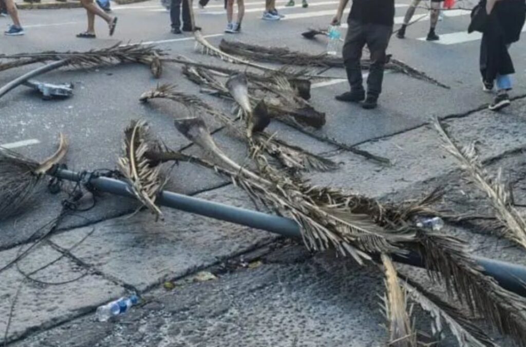 Mar del Plata al borde de una tragedia: un poste cayó en plena marcha y dejó dos mujeres heridas