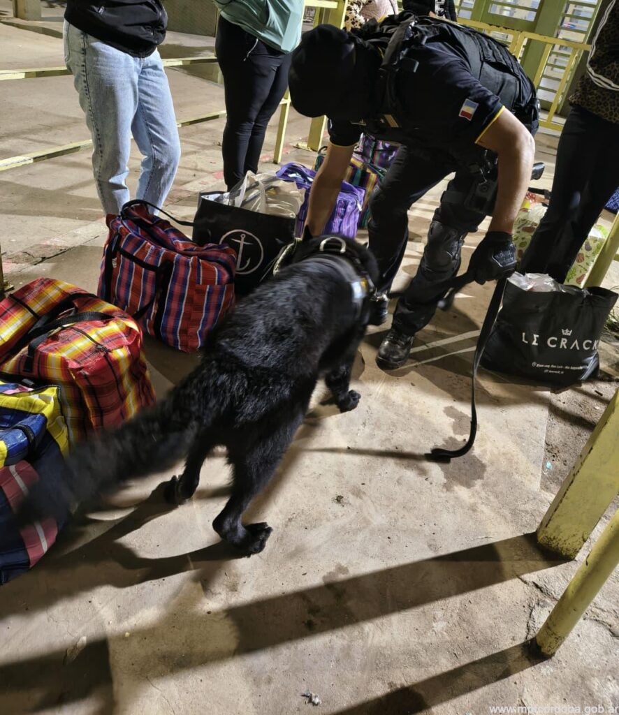BOUWER: FPA JUNTO AL SERVICIO PENITENCIARIO SECUESTRARON COCAÍNA Y MARIHUANA EN UN CONTROL DE VISITAS. UN  DETENIDO