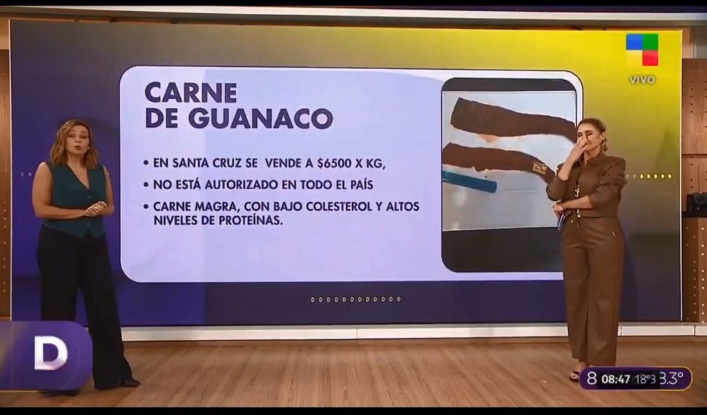 ¡Ahora se vende carne de guanaco! La cara de Pamela David al presentar la noticia