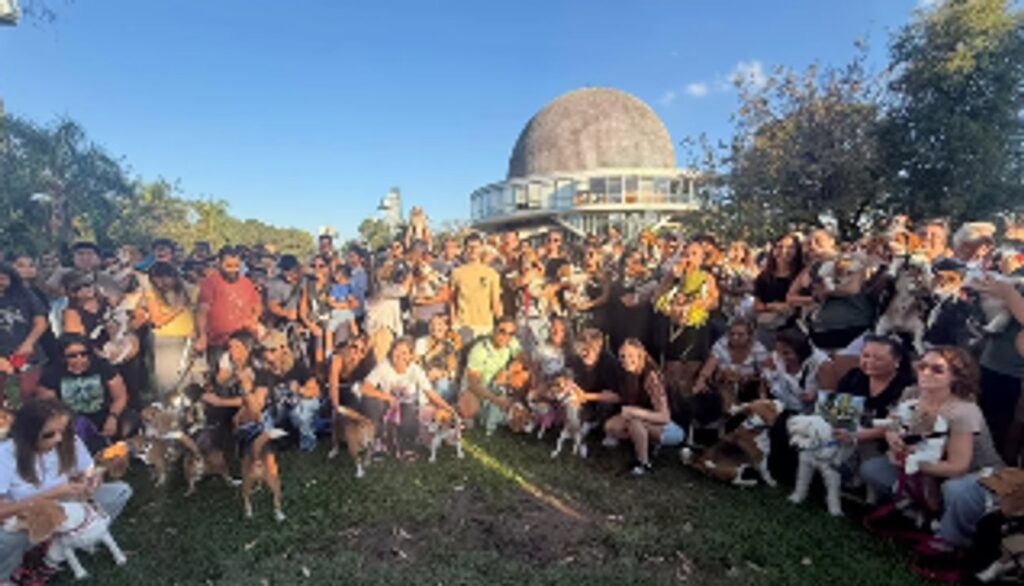 Más de 100 beagles coparon el Planetario en una juntada llena de ternura