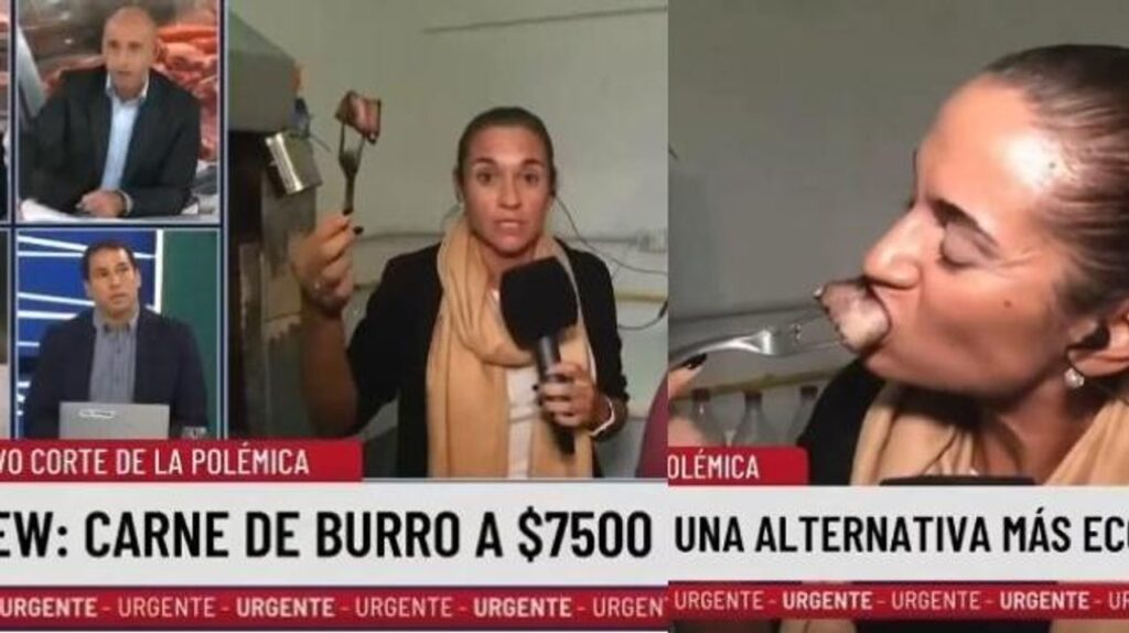 Trebucq se puso a militar la carne de burro en vivo y la cronista casi pierde la dentadura en pleno móvil