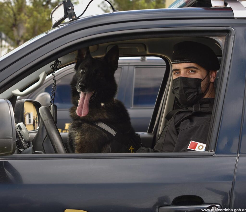 SE RETIRA BUSTER, EL PERRO NACIDO EN LA FPA Y CON 344 INTERVENCIONES POSITIVAS