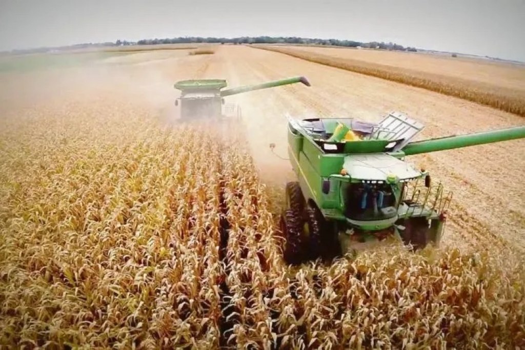 El Estado se queda con el 62,5% de la renta agrícola y la Guerra de Medio Oriente impactó en los costos