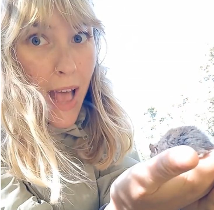 Una influencer tocó en Bariloche un ratón que transmite hantavirus y subió el video a TikTok