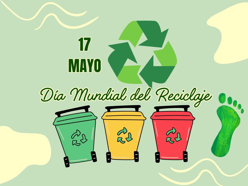 Por qué el 17 de mayo se celebró el Día Mundial del Reciclaje