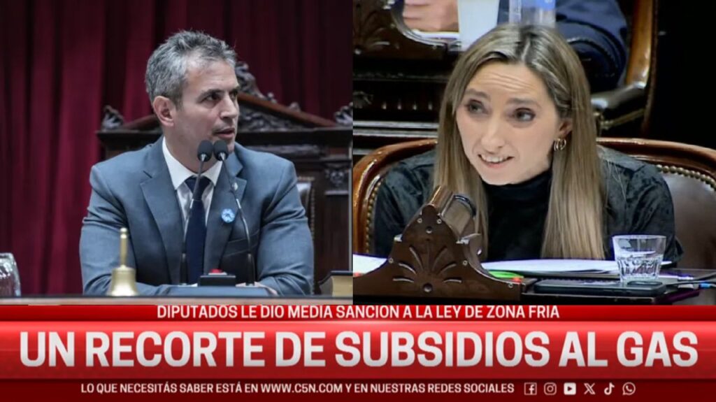Julia Strada, en la cara a Menem sobre la quita de los subsidios al gas: “Ustedes están haciendo negocios para enriquecerse”