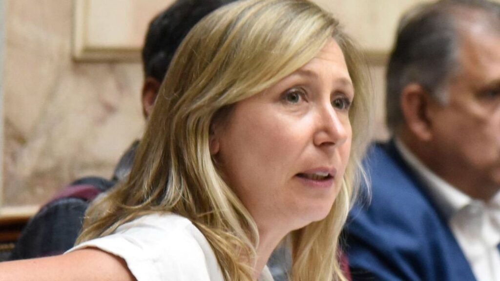 Myriam Bregman puso en su sitio a Martín Tetaz: “No tiene idea de cómo vive la mayoría en Bariloche"