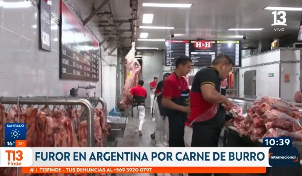 Una carnicería de Chubut vendió 500 kilos de carne de burro en dos días y el tema llegó a la prensa internacional