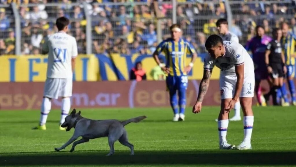 El perro ‘gambeteador' que bailó a un asistente e hizo delirar a los hinchas de Rosario Central