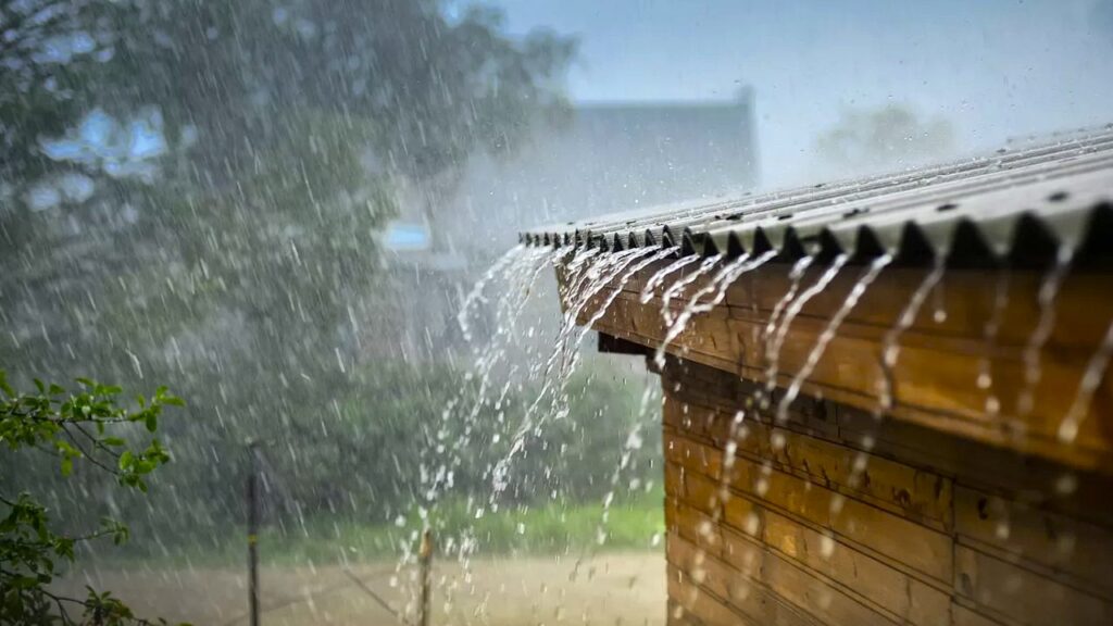 La provincia argentina donde mas llueve: cómo es vivir en el lugar mas húmedo del país