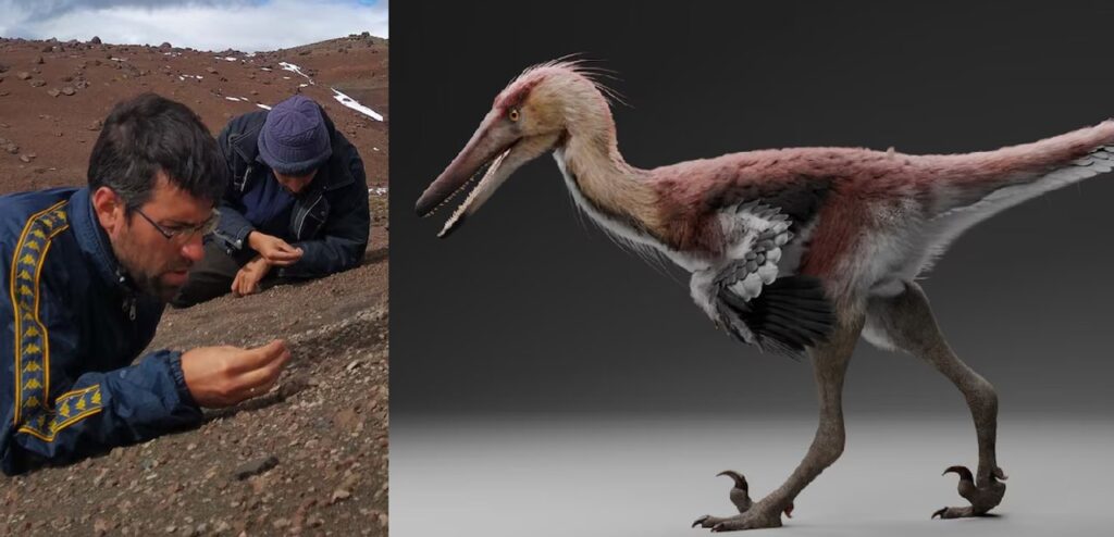 Descubrieron en Santa Cruz una nueva especie de dinosaurio que resolvería un misterio histórico sobre la Antártida